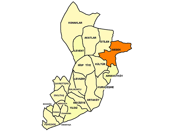 Beşiktaş Vinç Kiralama